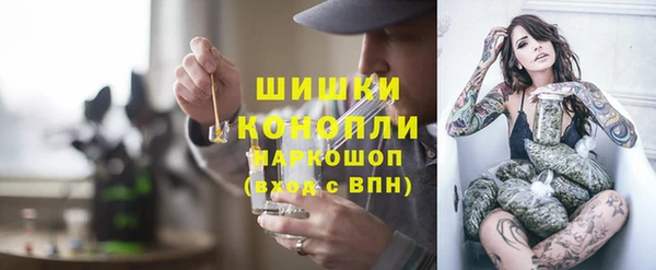 ешки Алексин