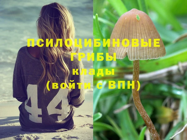 эйфоретик Алексеевка