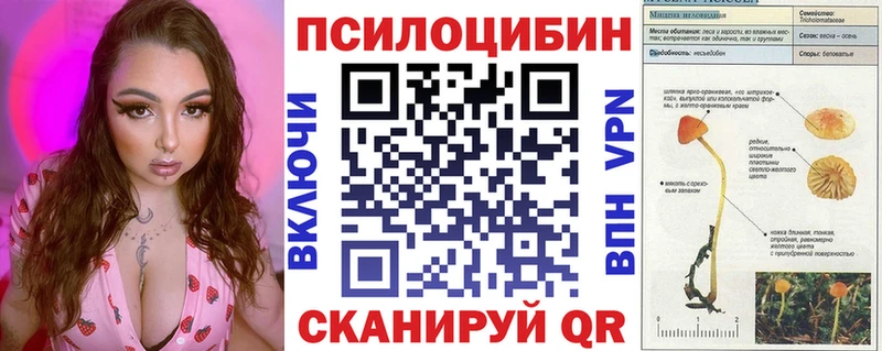 Псилоцибиновые грибы Psilocybe как найти закладки Иланский