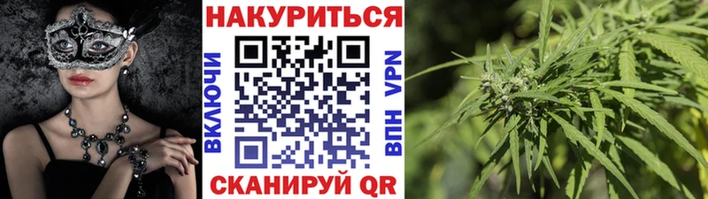 дарк нет телеграм  Иланский  Конопля план 